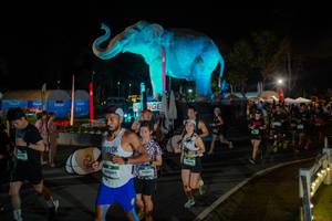 BIB: 
                            <button type="button" onclick="openModal(26552290)" class="btn btn-primary btn-sm float-right btn-popup" data-toggle="modal" data-target=".modal-high-quality">
                        <i class="fas fa-shopping-cart"></i> Add to Cart
                    </button>
                                            <button type="button" onclick="isThisMe(26552290, true)" class="btn btn-success btn-sm float-right btn-popup btn-isme hidden" data-toggle="tooltip" data-placement="bottom" title="นี่คือรูปของคุณใช่ไหม คลิกที่นี่เพื่อเอาเข้าอัลบั้ม">
                        <i class="fas fa-plus"></i> Add to album
                    </button>
                    <button type="button" onclick="isThisMe(26552290, false)" class="btn btn-warning btn-sm float-right btn-popup btn-isnotme hidden">
                        <i class="fas fa-ban"></i> Remove from album
                    </button>